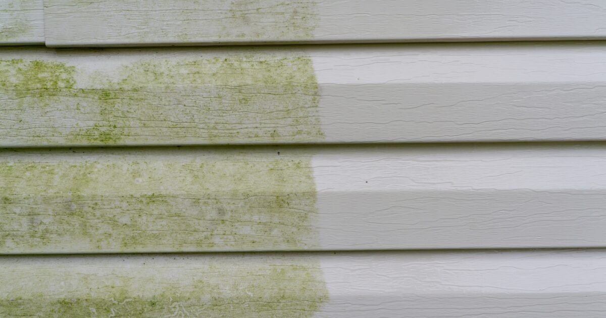 House Wash, Softwash, Vinyl Cleaning, Pressure Wash